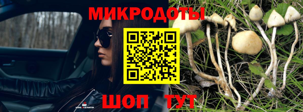 Рязань  Псилоцибиновые грибы Psilocybine cubensis  Вход с VPN  Галлюциногенные грибы Magic Shrooms 